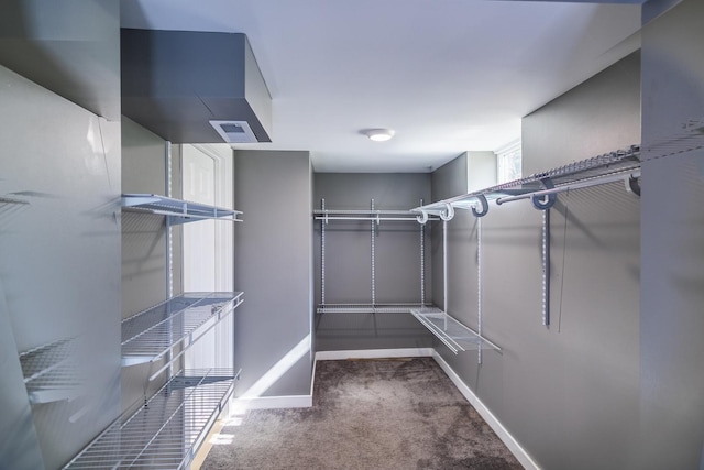 walk in closet featuring carpet