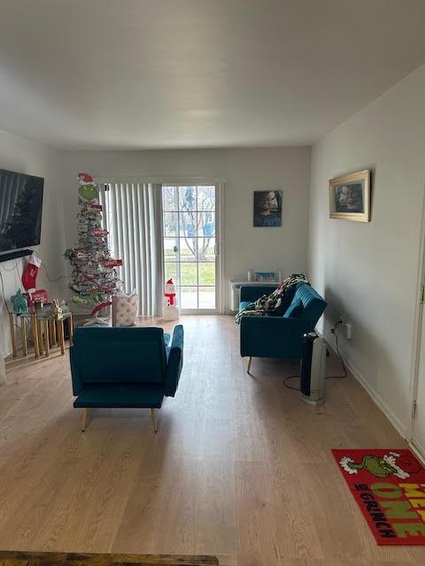 living room with light hardwood / wood-style floors