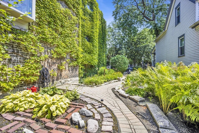 view of yard featuring a patio