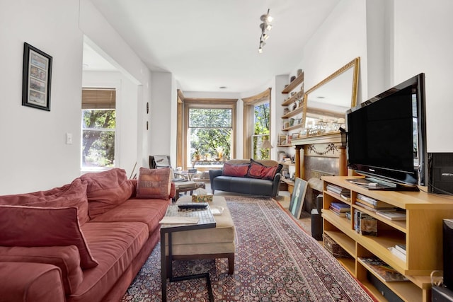 living room featuring rail lighting