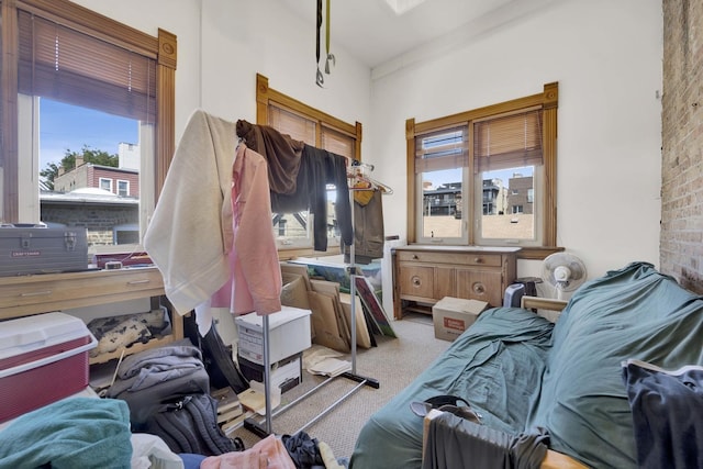 miscellaneous room featuring light colored carpet