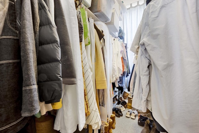 spacious closet featuring carpet flooring