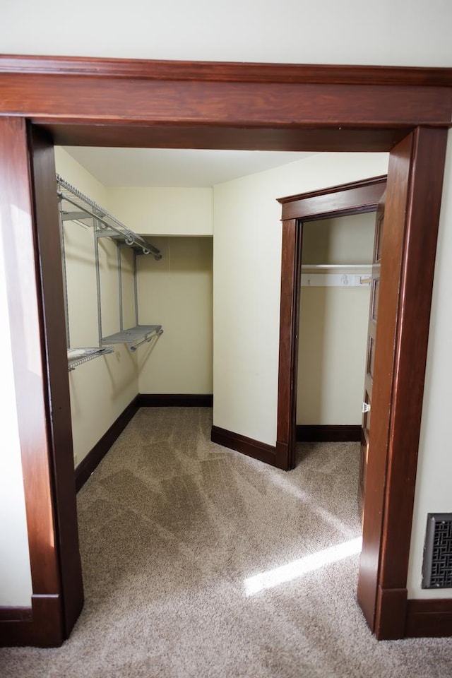 spacious closet featuring carpet