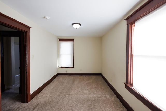 empty room with a wealth of natural light and carpet flooring