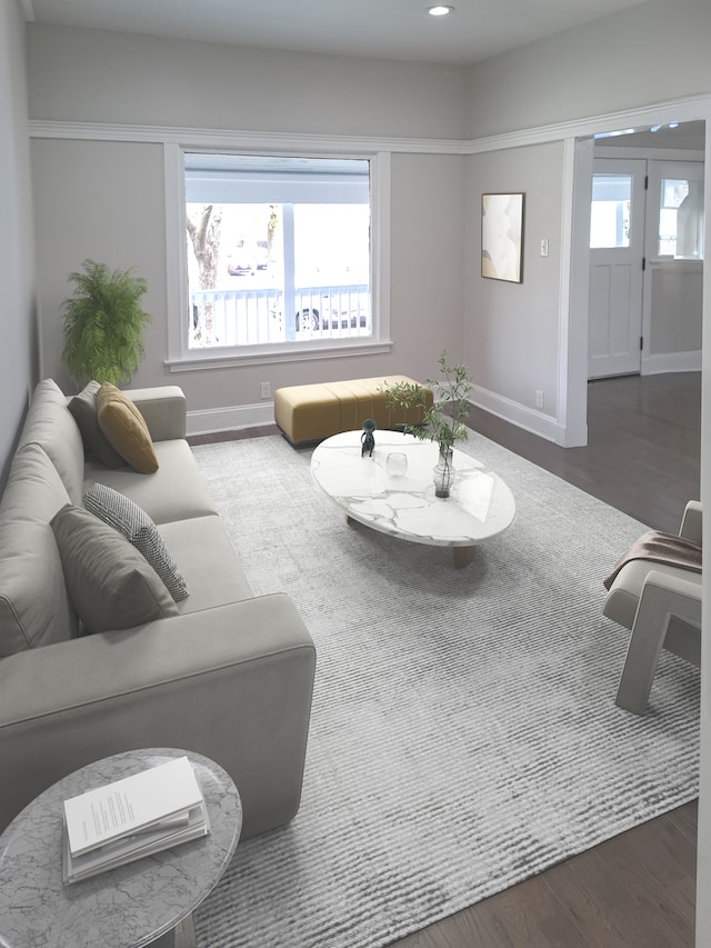 living room with hardwood / wood-style floors and plenty of natural light