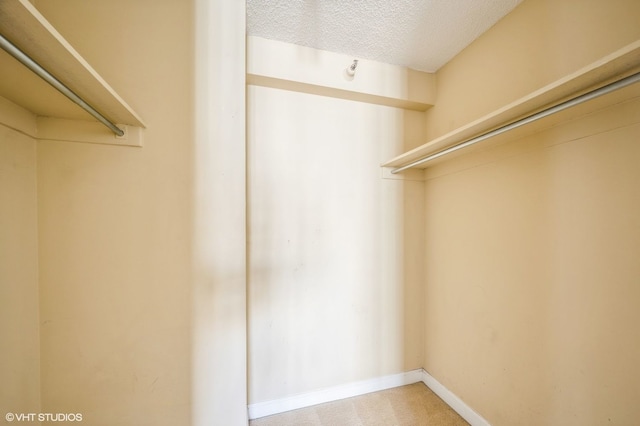 walk in closet with carpet flooring