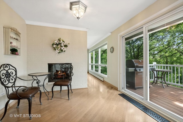 interior space featuring a fireplace and a baseboard radiator