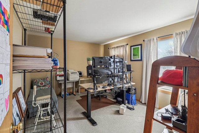 workout area with carpet floors