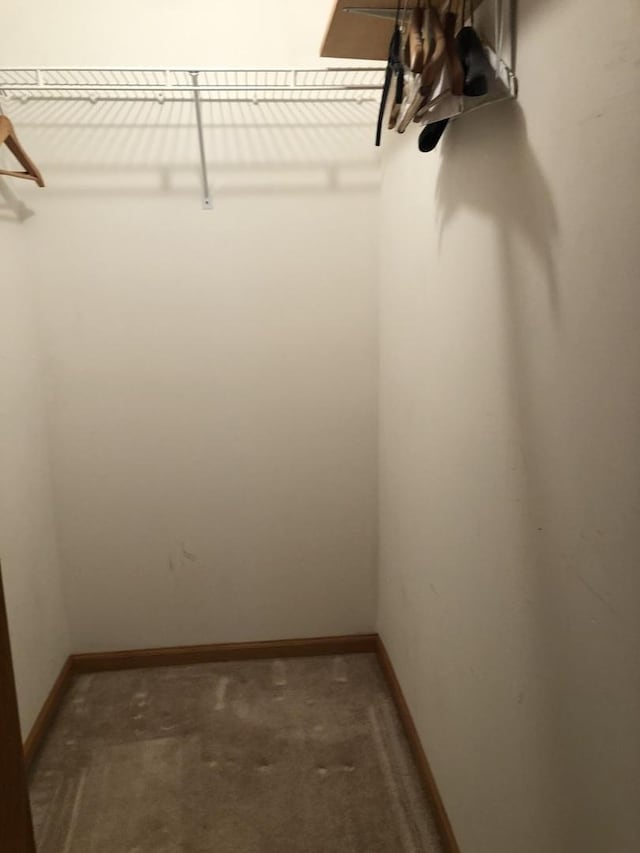 walk in closet with dark colored carpet