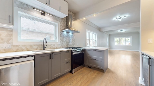 kitchen featuring backsplash, sink, wall chimney exhaust hood, gray cabinets, and stainless steel appliances