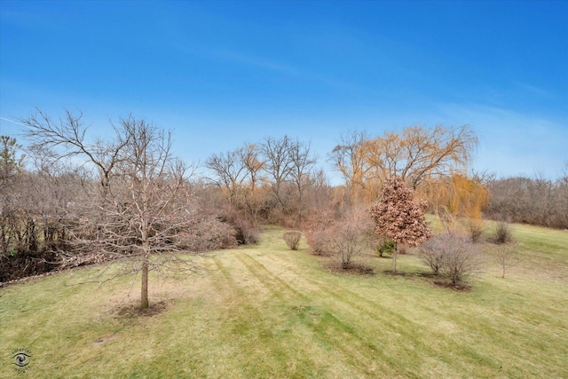 view of yard featuring a rural view