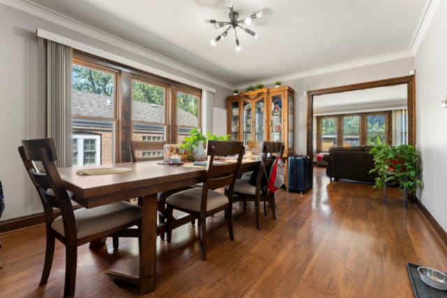 dining room featuring ornamental molding, dark hardwood / wood-style floors, and an inviting chandelier