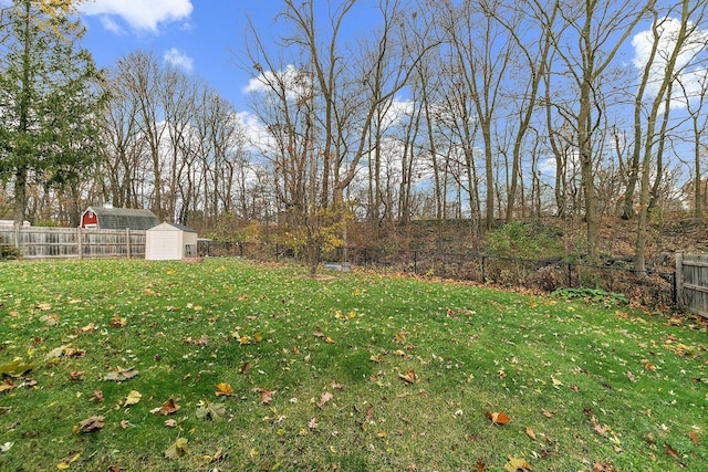 view of yard with a storage unit