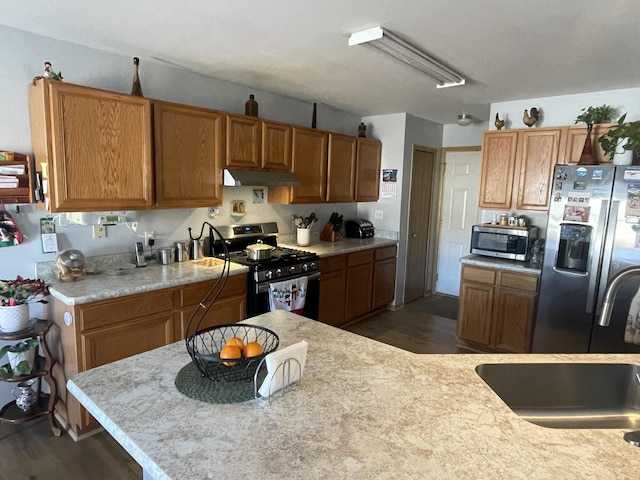 kitchen with dark hardwood / wood-style floors, sink, and stainless steel appliances