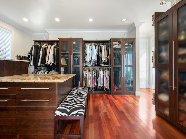 spacious closet featuring dark wood-type flooring