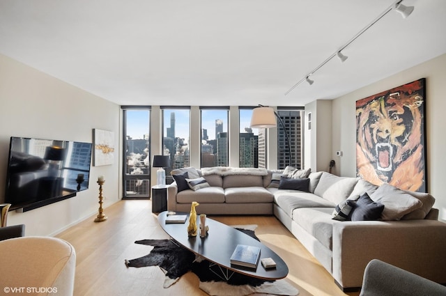 living room featuring track lighting, expansive windows, and light hardwood / wood-style flooring