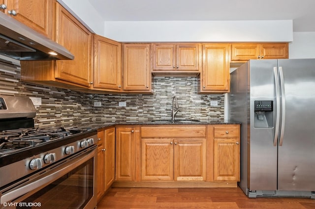 kitchen with stainless steel appliances, decorative backsplash, sink, and range hood