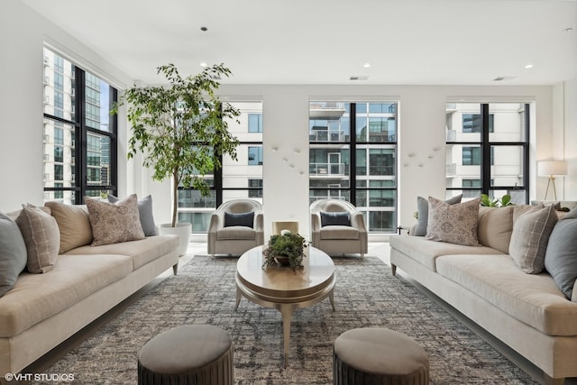 living room with a wealth of natural light