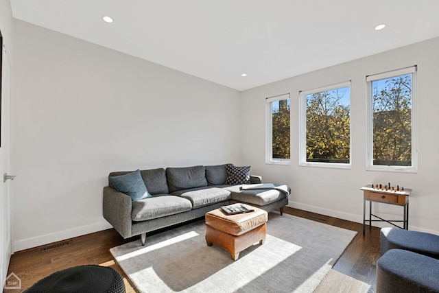 living room with dark hardwood / wood-style floors