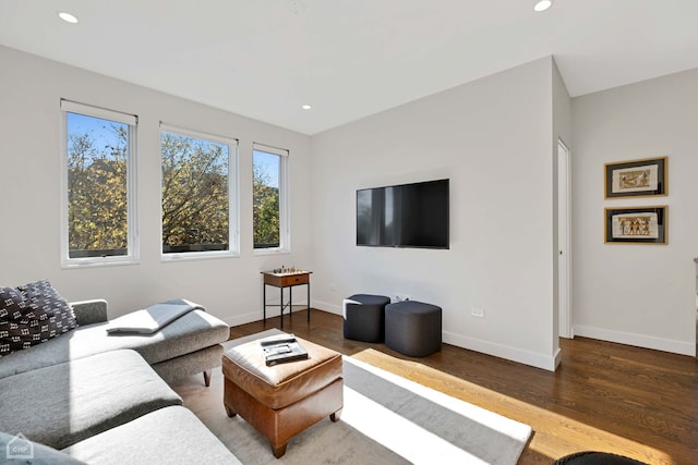 living room featuring hardwood / wood-style flooring