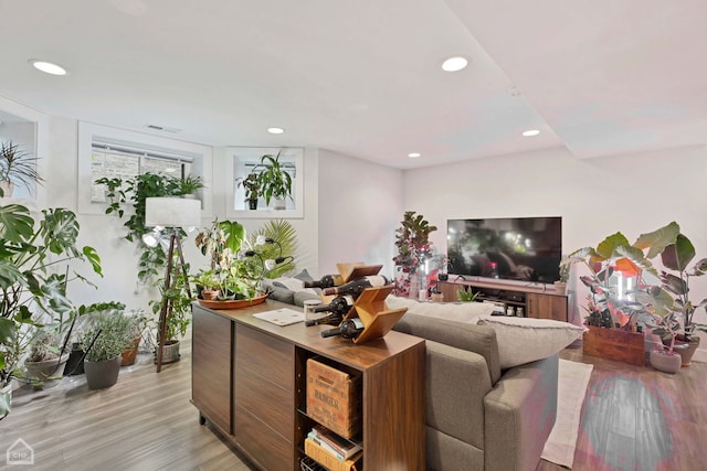 living room featuring light hardwood / wood-style flooring