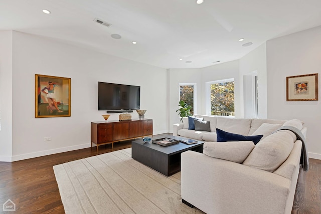 living room featuring wood-type flooring