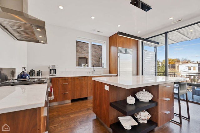 kitchen featuring pendant lighting, a center island, ventilation hood, dark hardwood / wood-style flooring, and stainless steel appliances