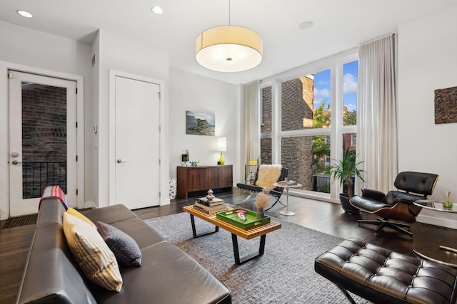 living room featuring dark hardwood / wood-style flooring