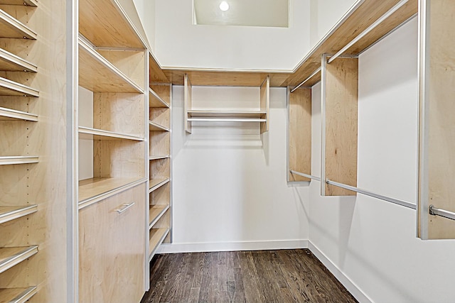 walk in closet featuring dark wood-type flooring