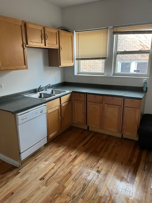 kitchen with dishwasher, light wood-type flooring, and sink