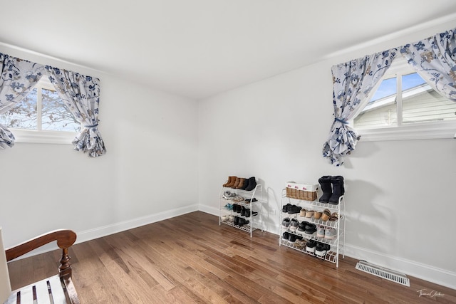 interior space featuring a healthy amount of sunlight and hardwood / wood-style flooring