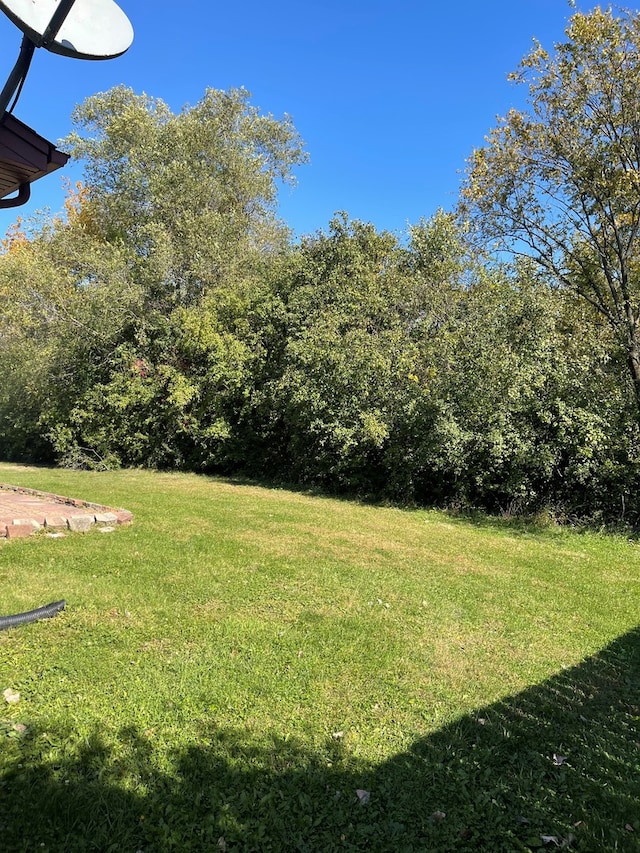 17617 Central Park Ave, Hazel Crest, IL 60429 - view of yard