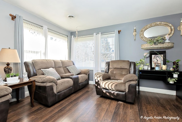 living room featuring dark hardwood / wood-style flooring