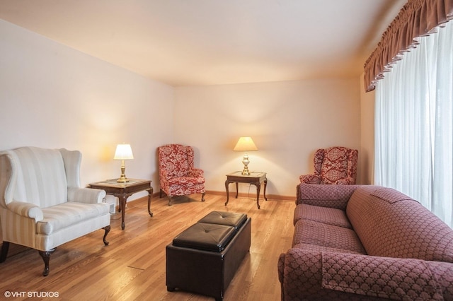 living area with wood-type flooring