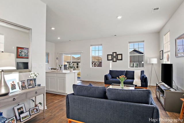 living room with dark hardwood / wood-style flooring and sink