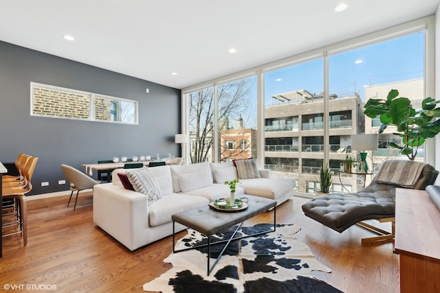 living room featuring expansive windows and light hardwood / wood-style floors