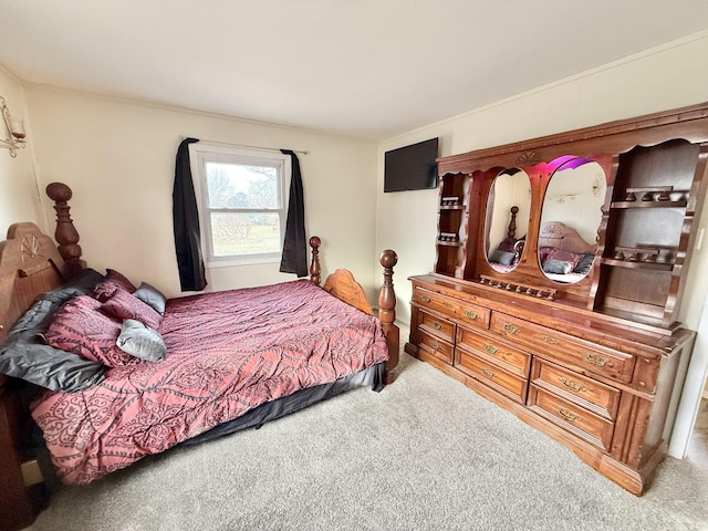 bedroom with carpet flooring