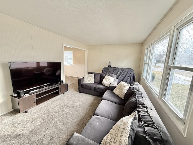 living room featuring carpet flooring and a textured ceiling