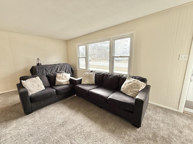 carpeted living room with a textured ceiling