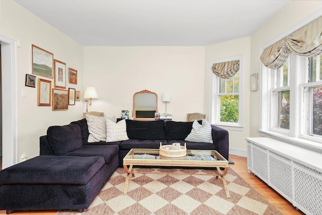 living room with radiator and light hardwood / wood-style flooring