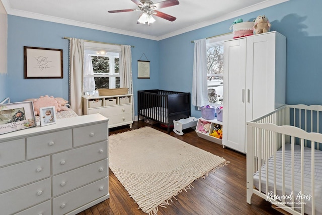 bedroom with a crib, dark hardwood / wood-style flooring, multiple windows, and ceiling fan