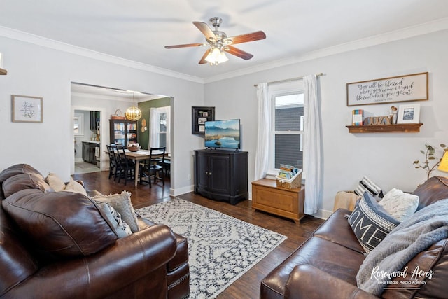 living room featuring dark wood-type flooring, ceiling fan with notable chandelier, and ornamental molding