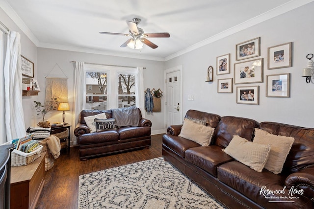 living room with ceiling fan, crown molding, and dark wood-type flooring