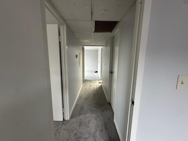 hallway featuring carpet flooring and a paneled ceiling