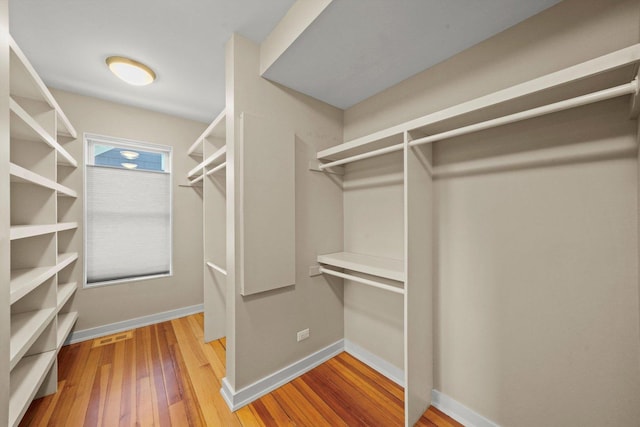 spacious closet with hardwood / wood-style floors