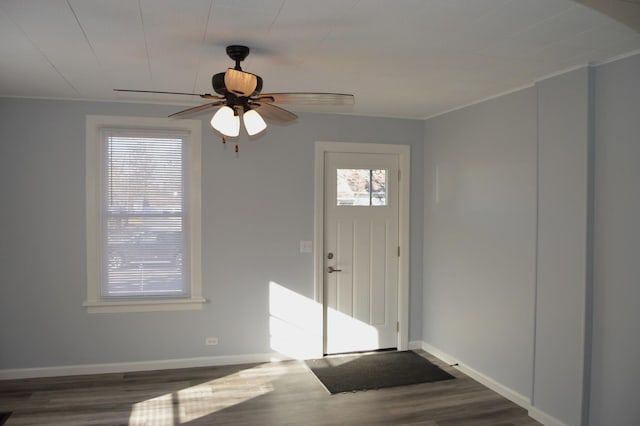 foyer with ceiling fan, dark hardwood / wood-style flooring, and a healthy amount of sunlight