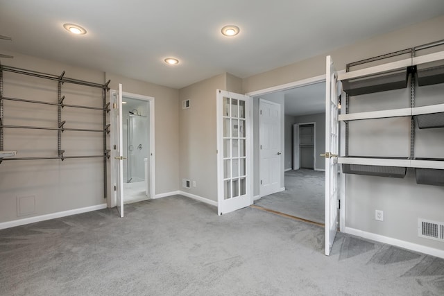 interior space featuring carpet floors and a closet