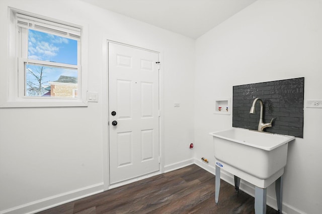 foyer entrance featuring dark hardwood / wood-style flooring and sink