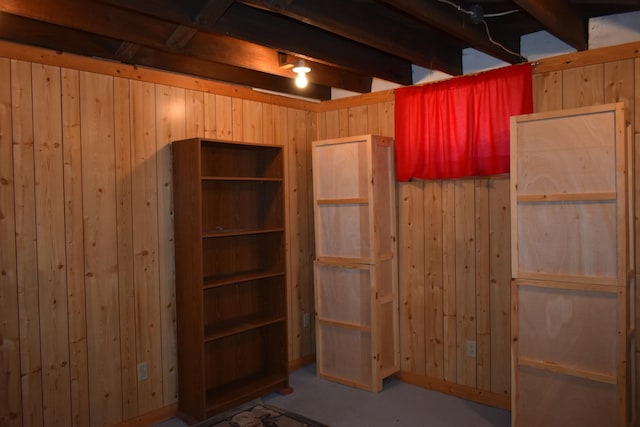 basement with wooden walls