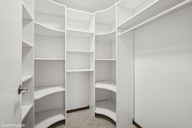 walk in closet featuring light colored carpet